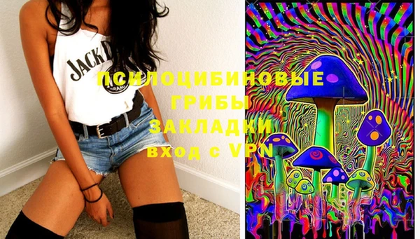 бошки Баксан