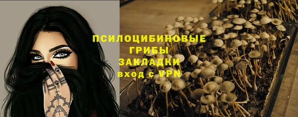 бошки Баксан